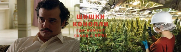 гашик Слюдянка