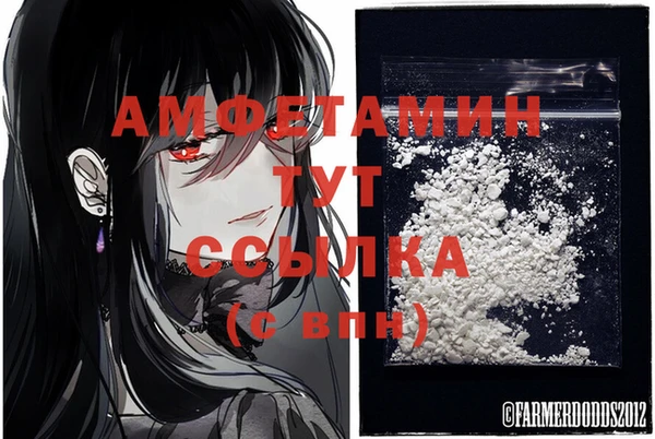 гашик Слюдянка