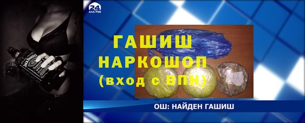 СК Снежногорск