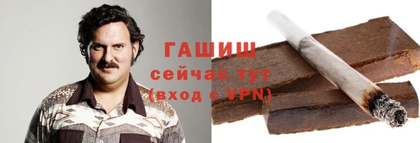 СК Снежногорск