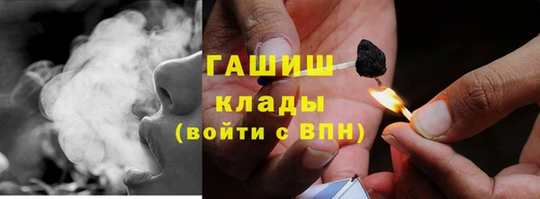 СК Снежногорск