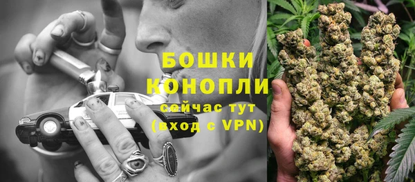 СК Снежногорск