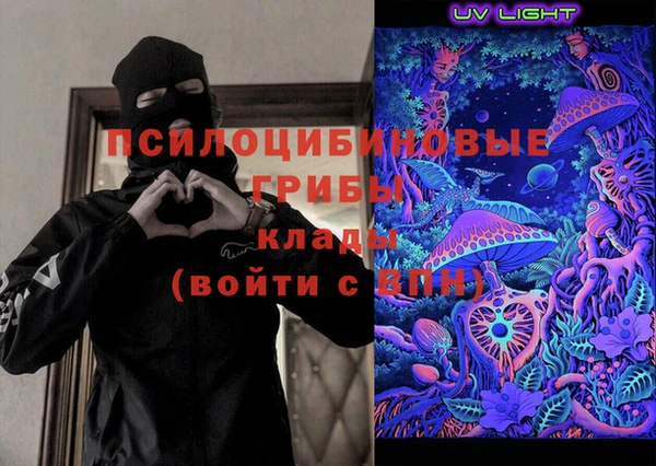 СК Снежногорск