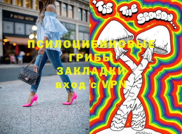 СК Снежногорск