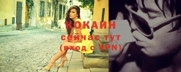 гашик Слюдянка