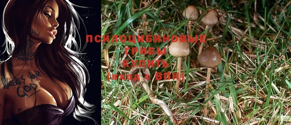 гашик Слюдянка